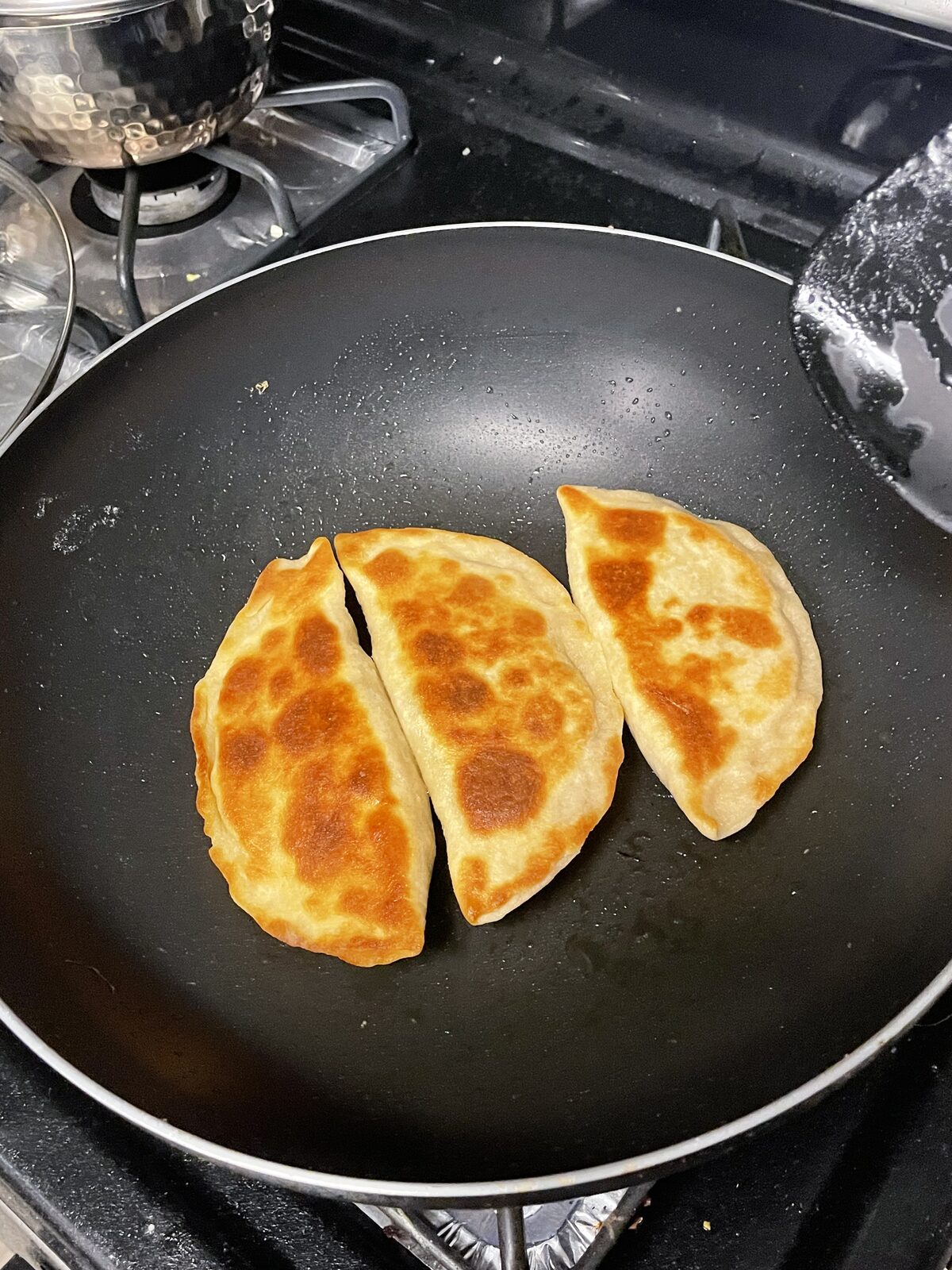 Pan-fried potstickers